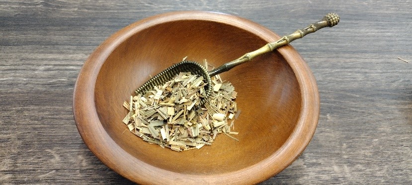 Lemongrass, Cymbopogon flexuosus